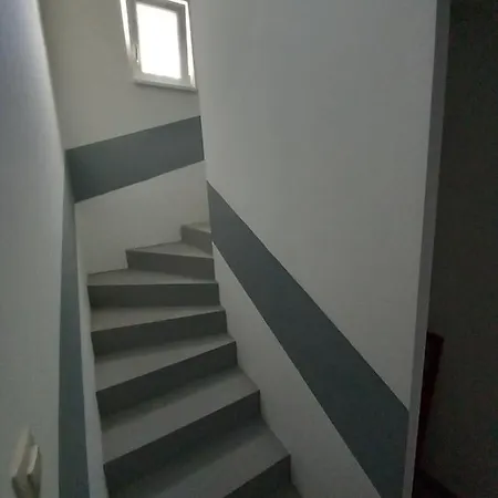 Csalogany *