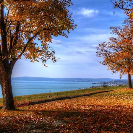 Csalogany Tatil Evi Balatonboglár