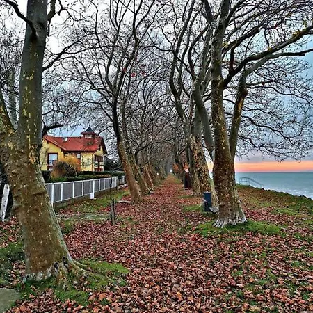 Csalogany Vakantiehuis