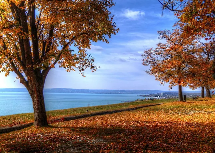 Csalogany Tatil Evi Balatonboglár