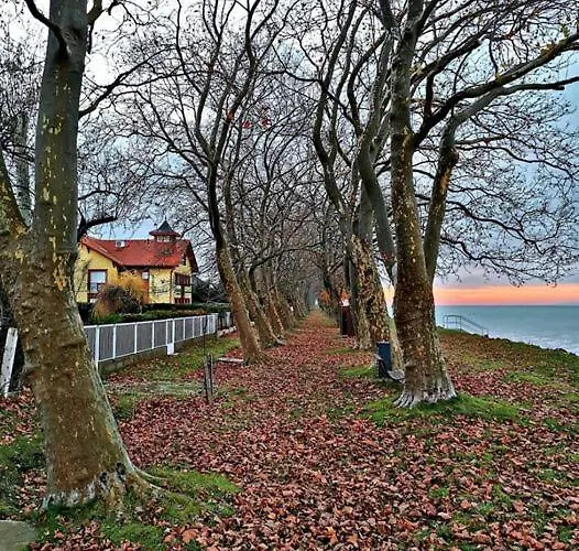 Csalogany Дом отдыха